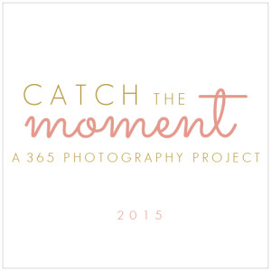 catch the moment button rose and gold 500